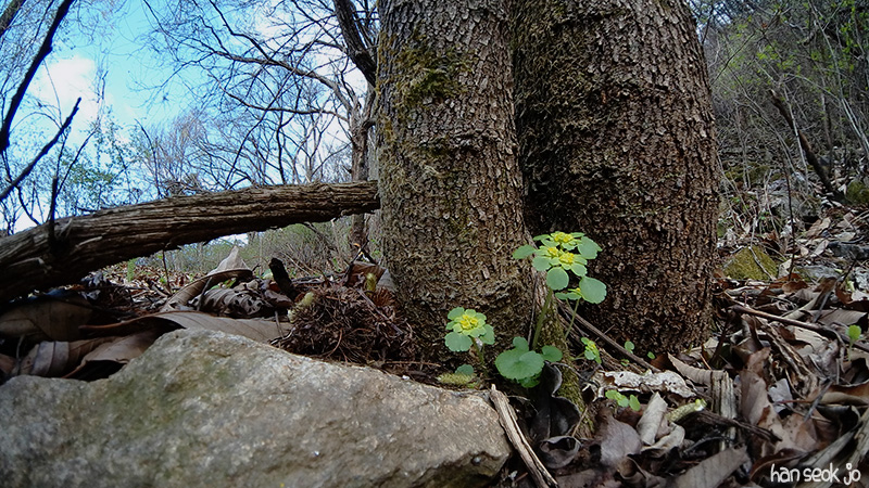 SAM_100_0449.jpg