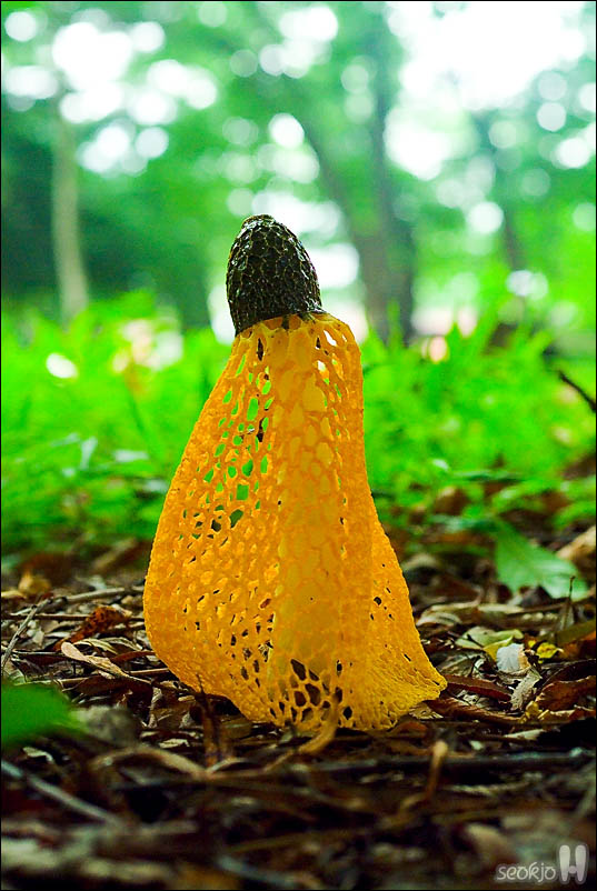 DSCF4551.jpg