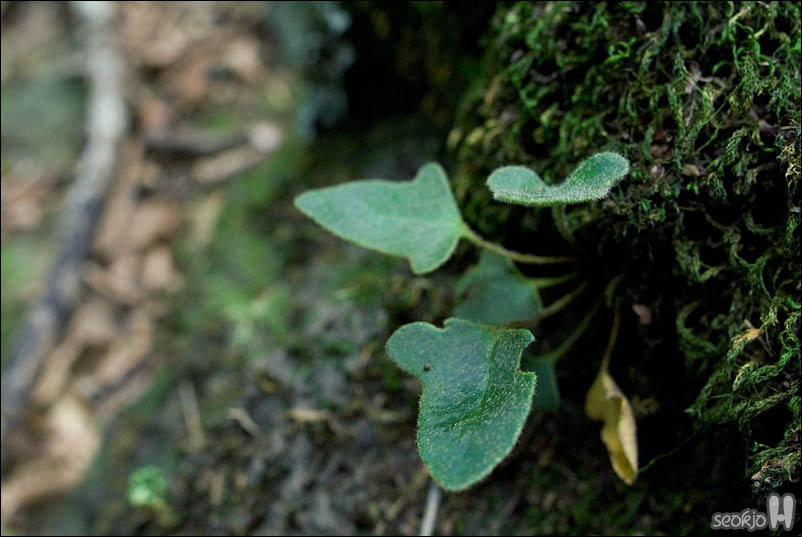 DSCF5469.jpg