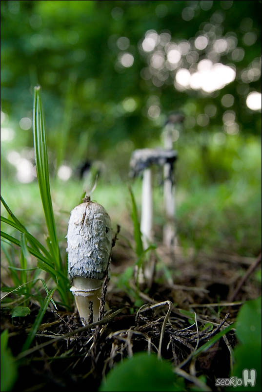 DSCF5508.jpg