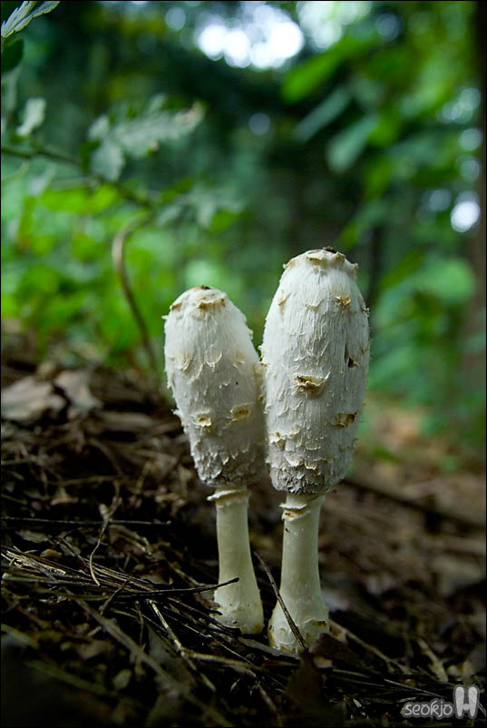 DSCF5512.jpg