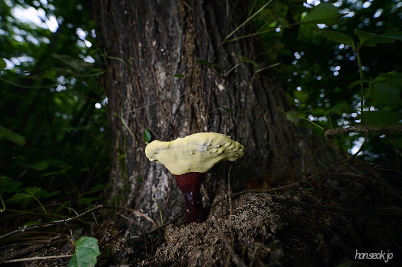 DSC_2965.jpg