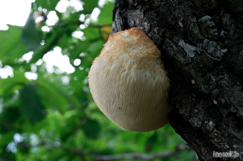 DSC_3968.jpg