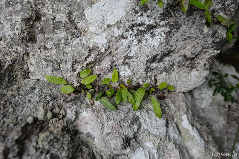 HSJ_3433.jpg