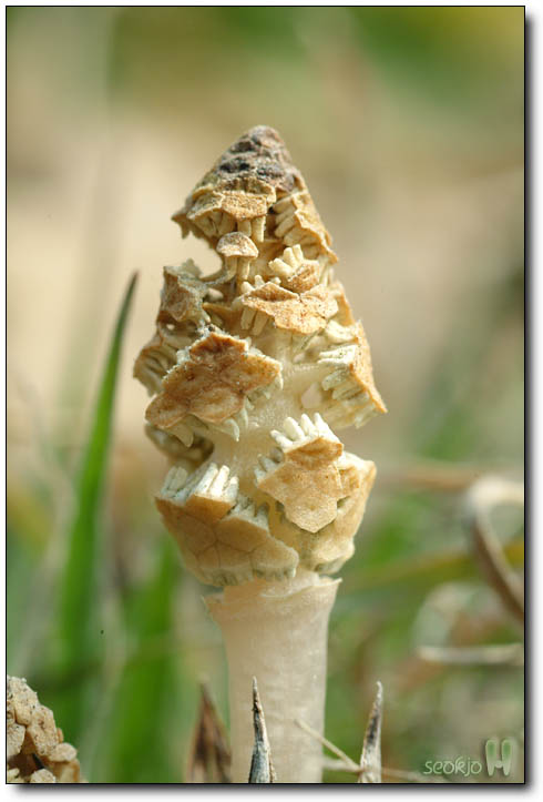 DSCF5401.jpg