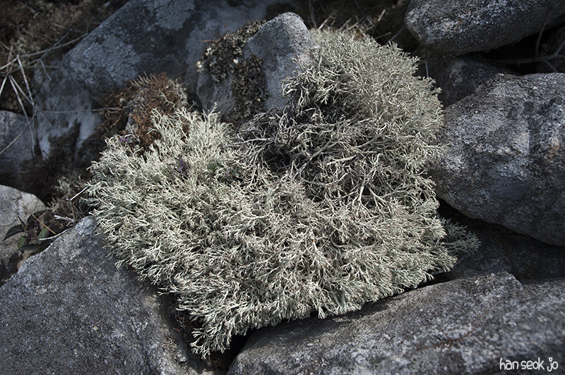 HSJ_5847.jpg