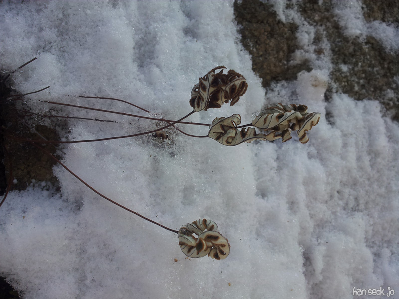 20130222_2.jpg