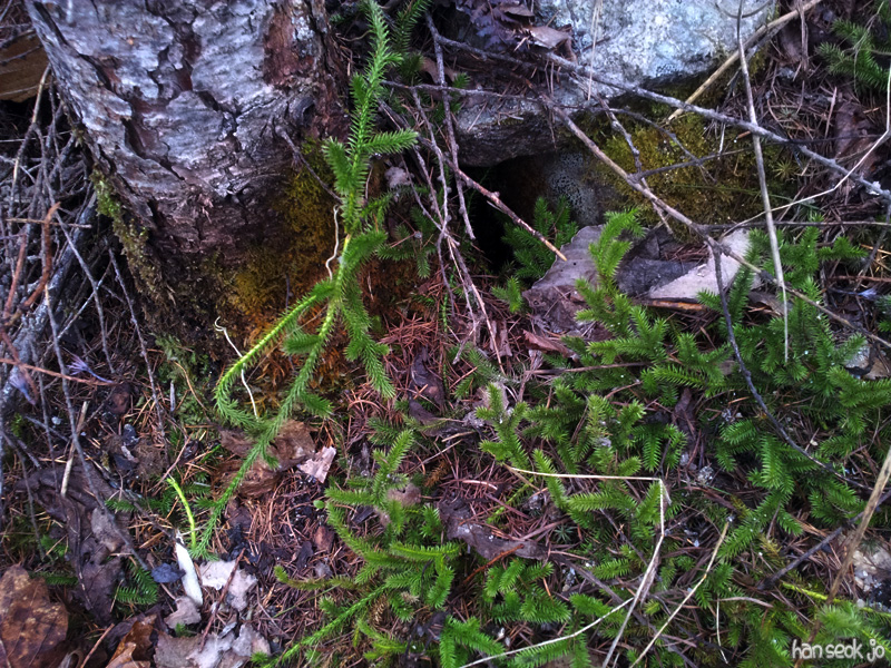 20130502.jpg
