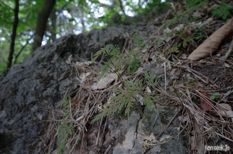 DSC_6427.jpg