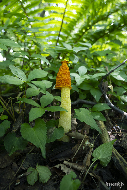 DSC_5288.jpg