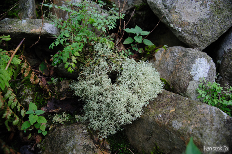 HSJ_0747.jpg
