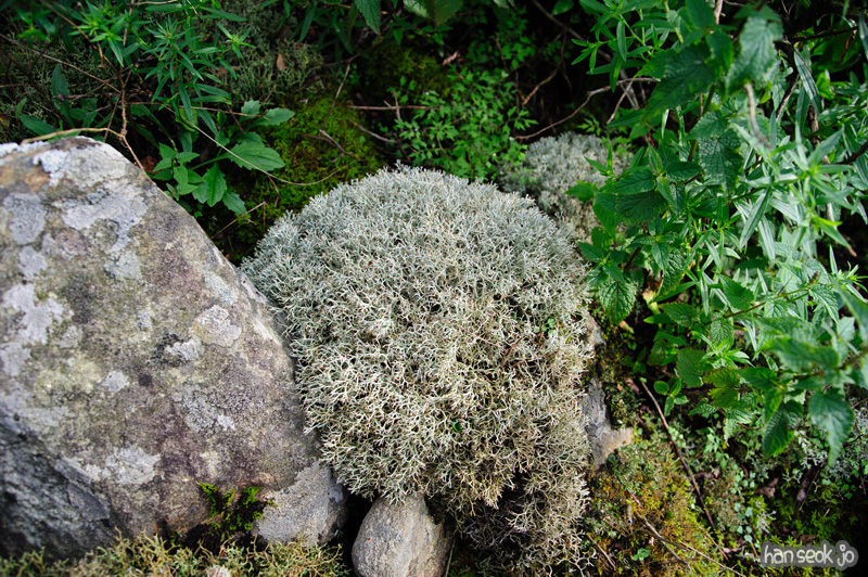 HSJ_0748.jpg