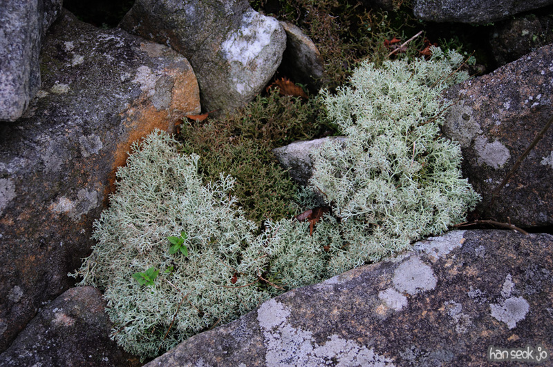 HSJ_0749.jpg