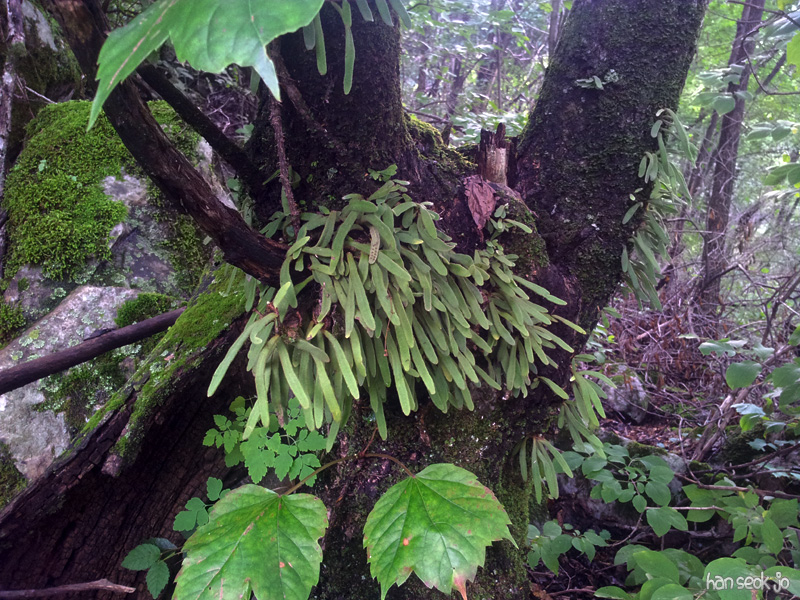 20130731_160322.jpg