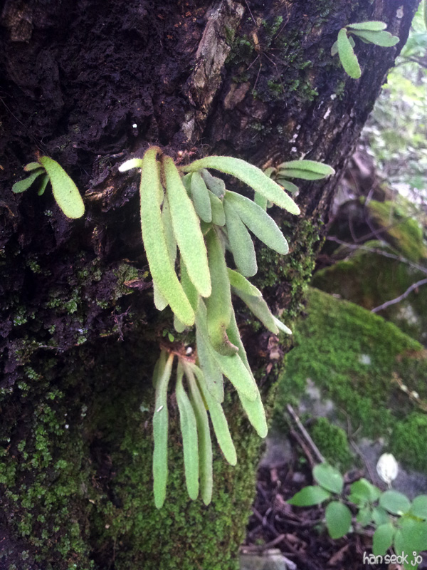 20130731_160421.jpg