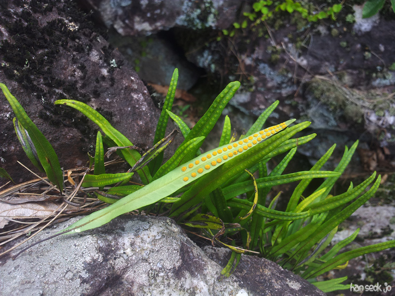 20130731_155514.jpg