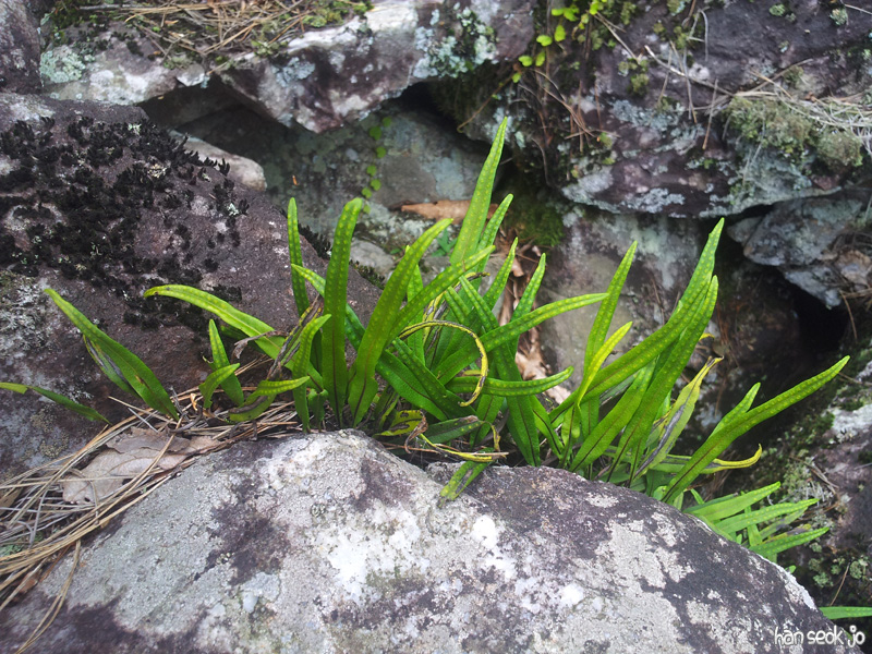 20130731_155314.jpg