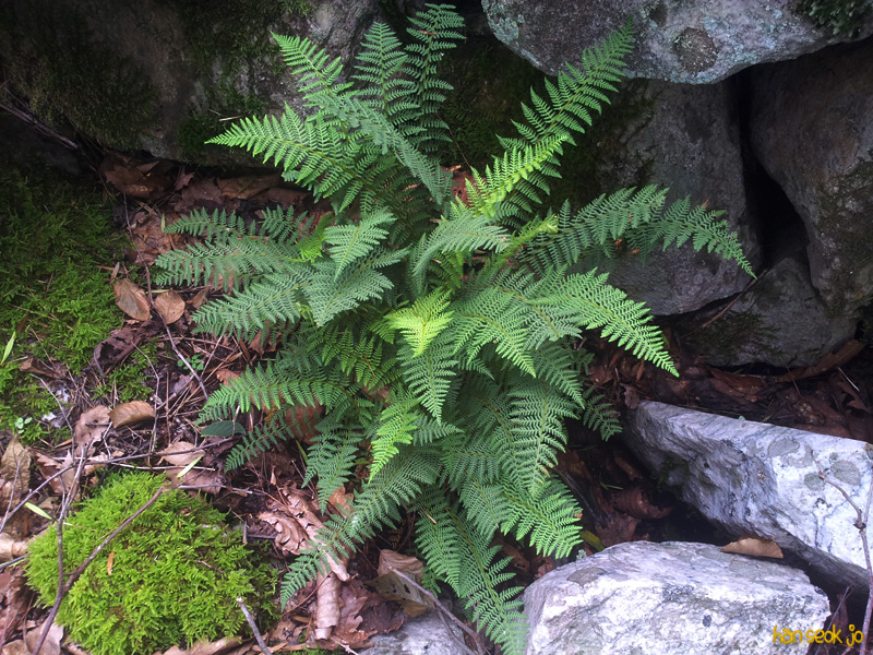 20130731_155106.jpg