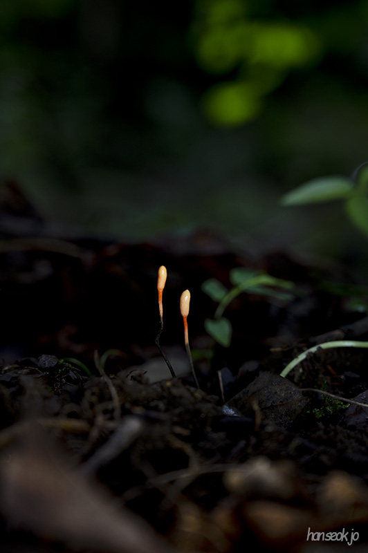 DSC_0065.jpg