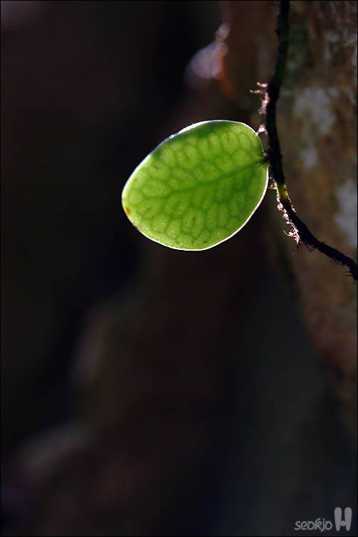 DSCF5548.jpg
