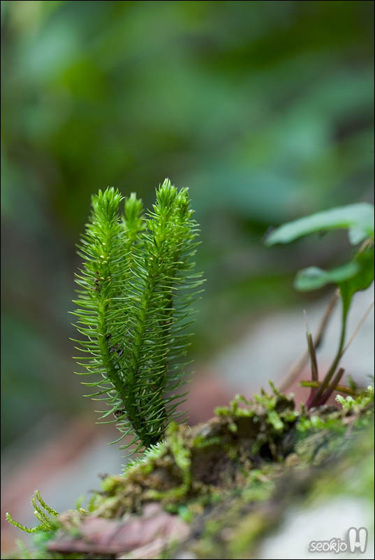 DSCF5528.jpg