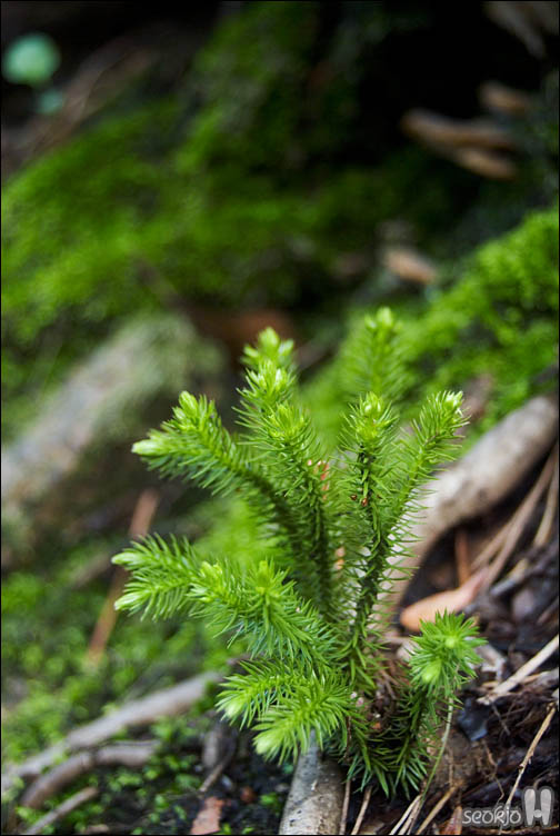 DSCF8120.jpg