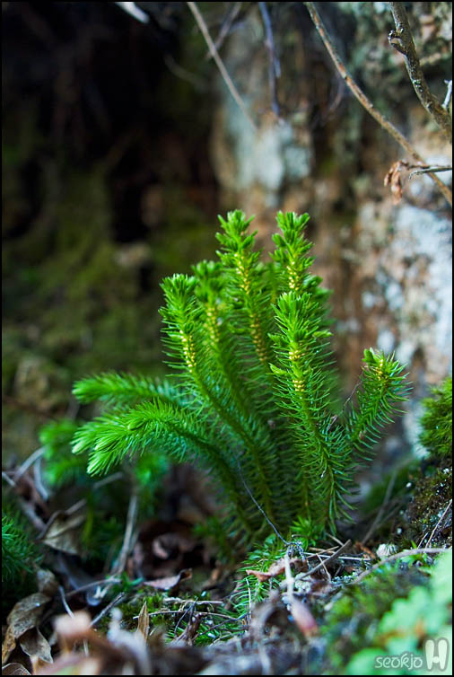 DSCF4404.jpg