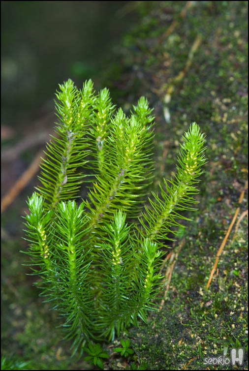 DSCF1830.jpg