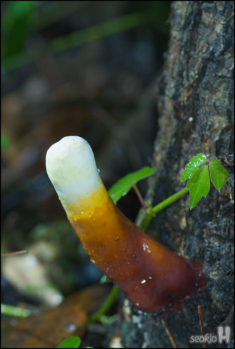 DSCF8567.jpg