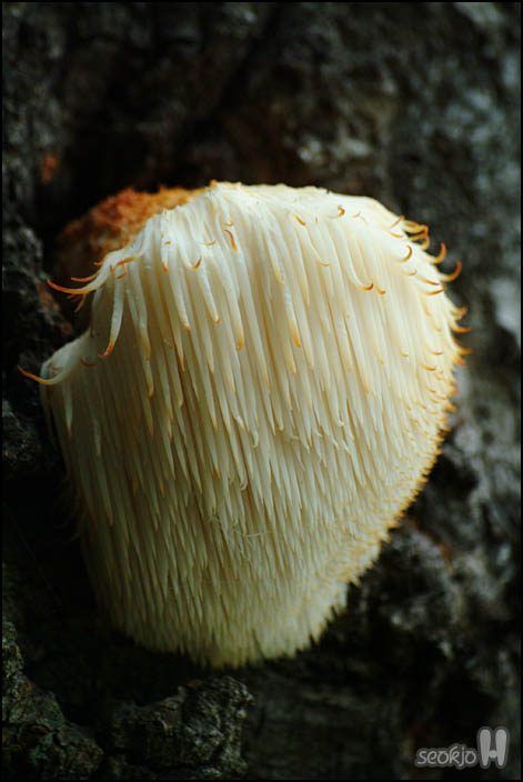 DSCF9633.jpg