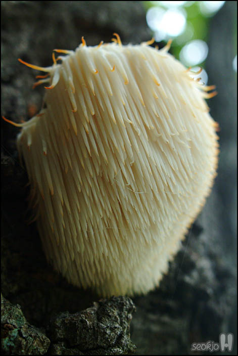 DSCF9634.jpg