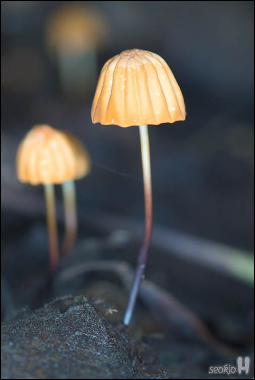 DSCF2064.jpg