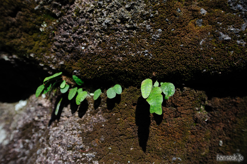HSJ_1159.jpg