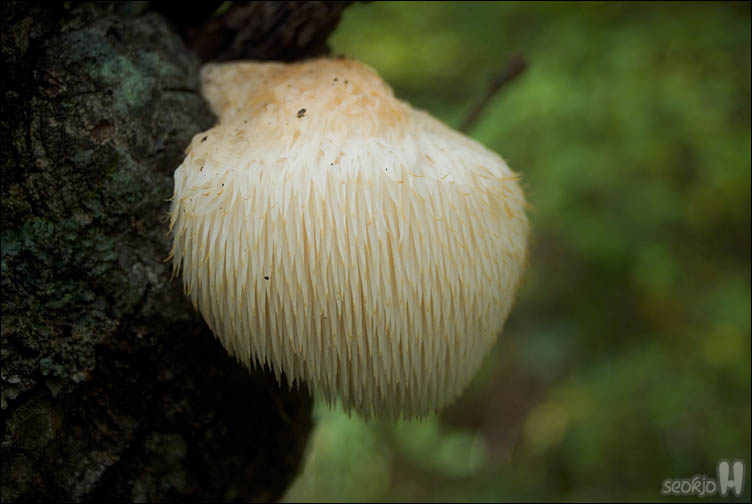DSCF4124.jpg