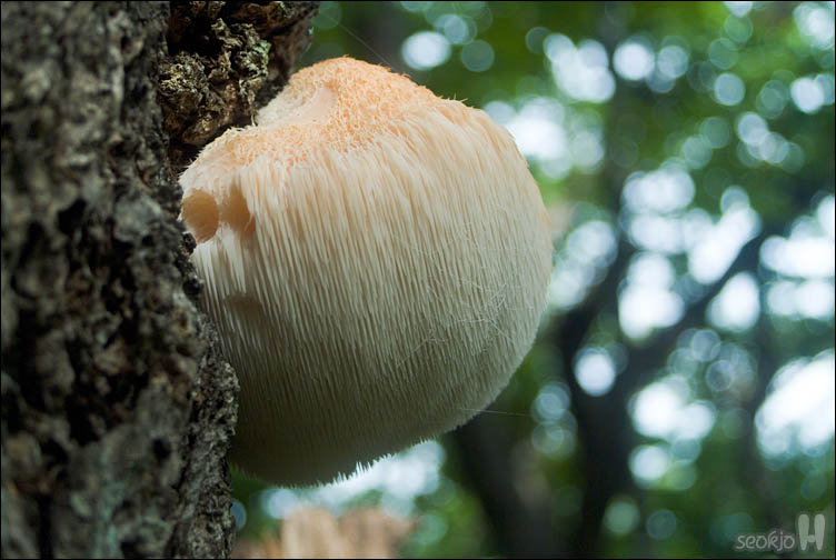 DSCF4126.jpg