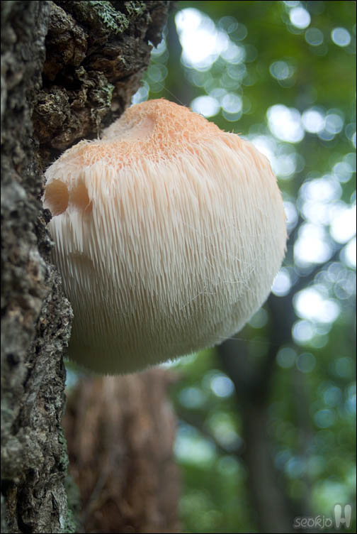 DSCF4128.jpg
