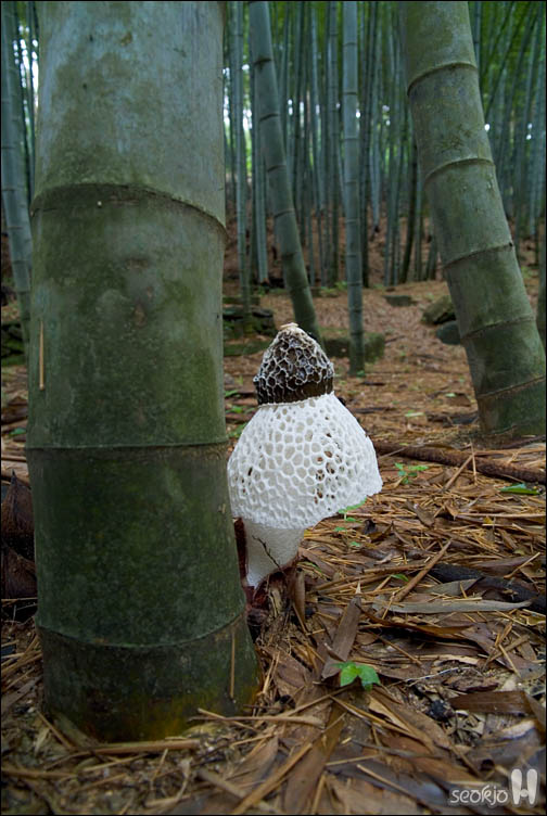 DSCF9890.jpg
