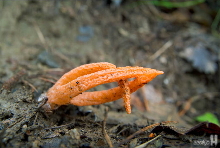 DSCF9796.jpg