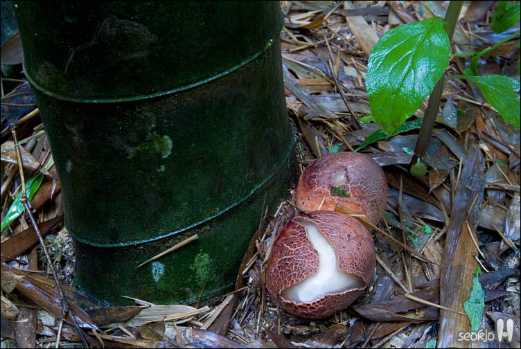 DSCF9815.jpg