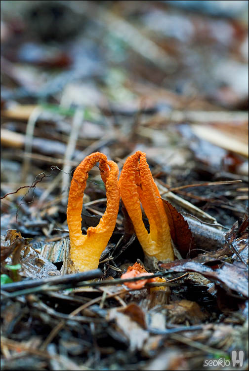 DSCF9915.jpg