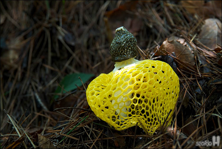 DSCF9923.jpg