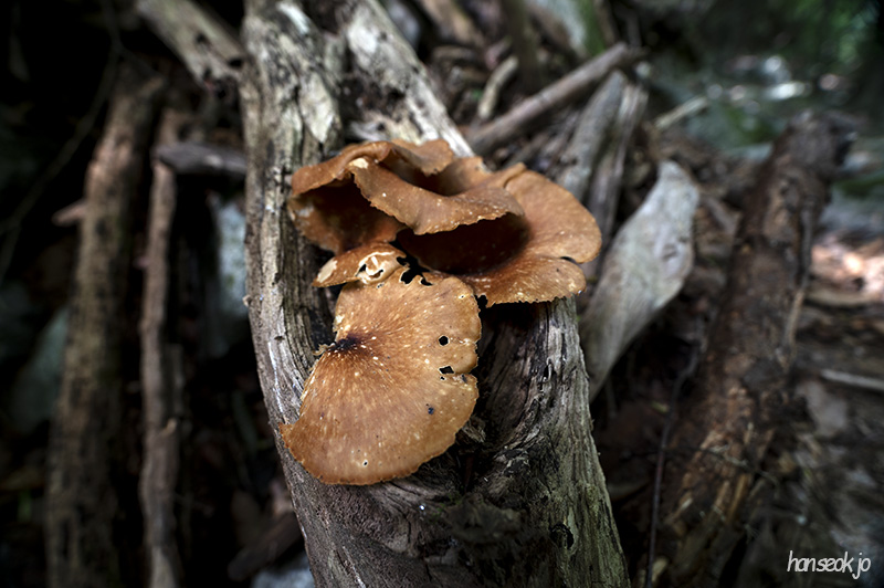 DSC_1322.jpg