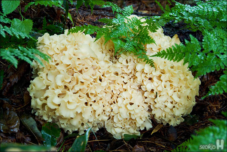 DSCF0388.jpg