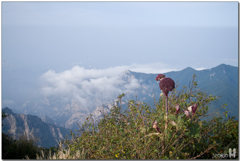 DSCF1202.jpg