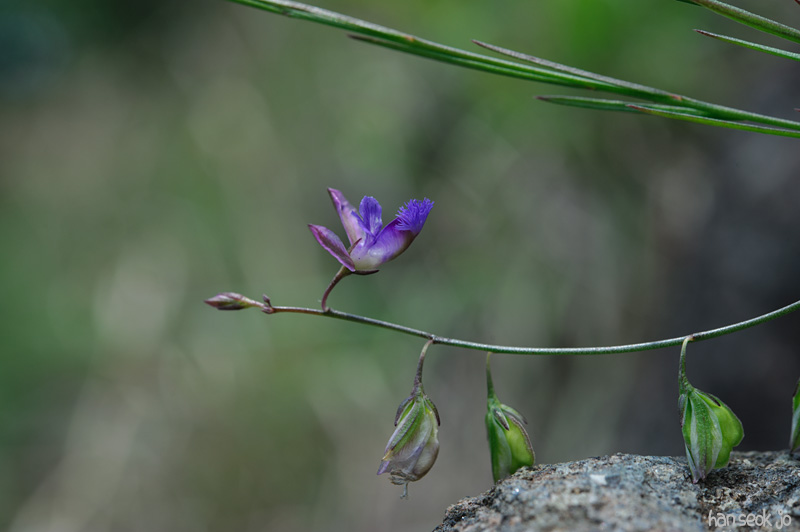 HSJ_3116.jpg