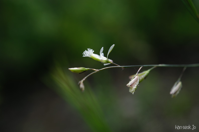 HSJ_3129.jpg
