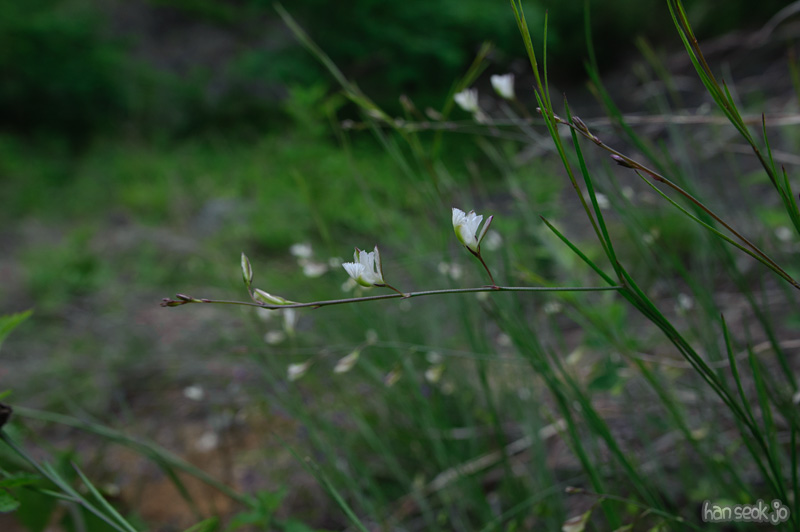 HSJ_8715.jpg