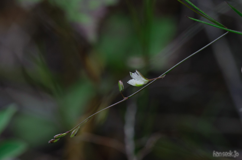 HSJ_8709.jpg