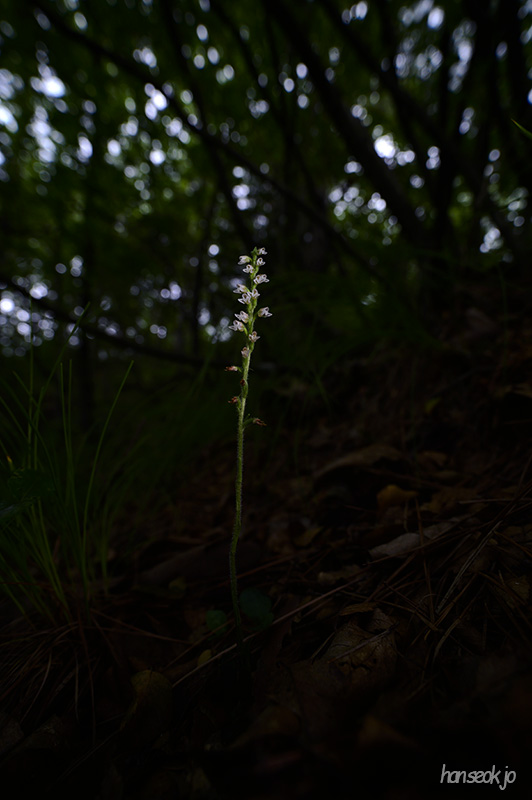 DSC_3053.jpg