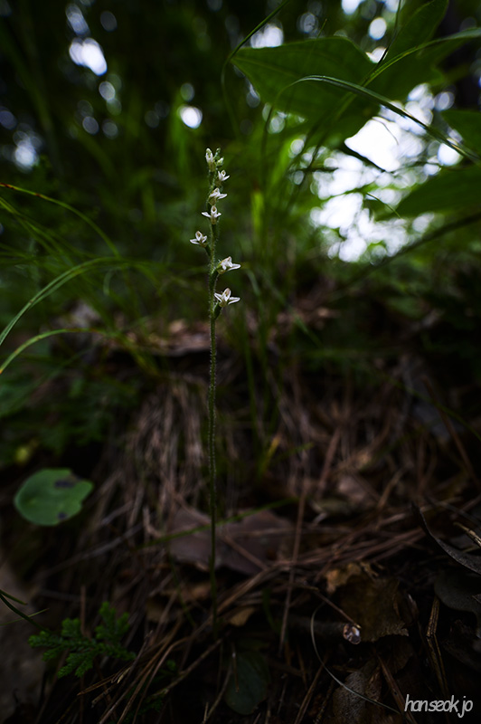 DSC_3045.jpg